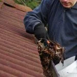 roof and gutter cleaning janesville